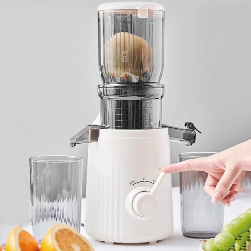 Cold Press Juicer - 250W 1L