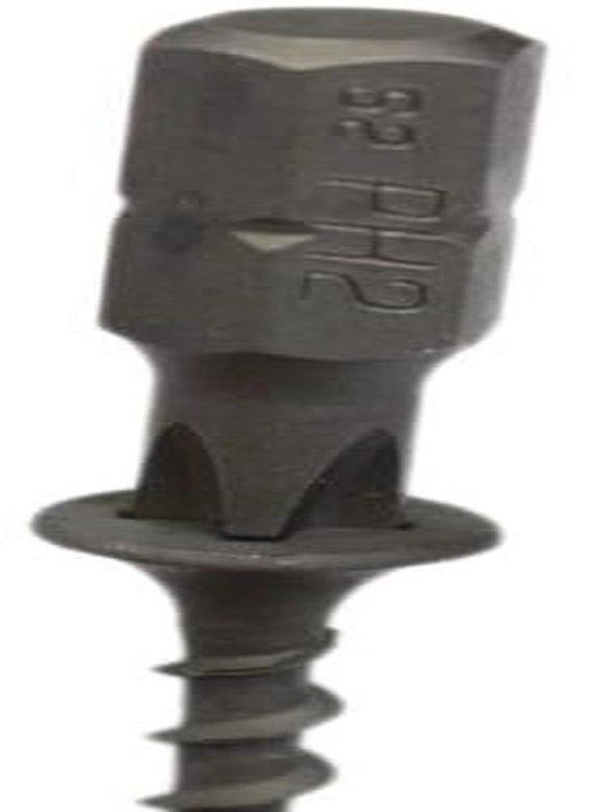 Phillips Head Bits - 50 Pieces