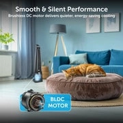 Surround B - BLDC motor Turbo Throw