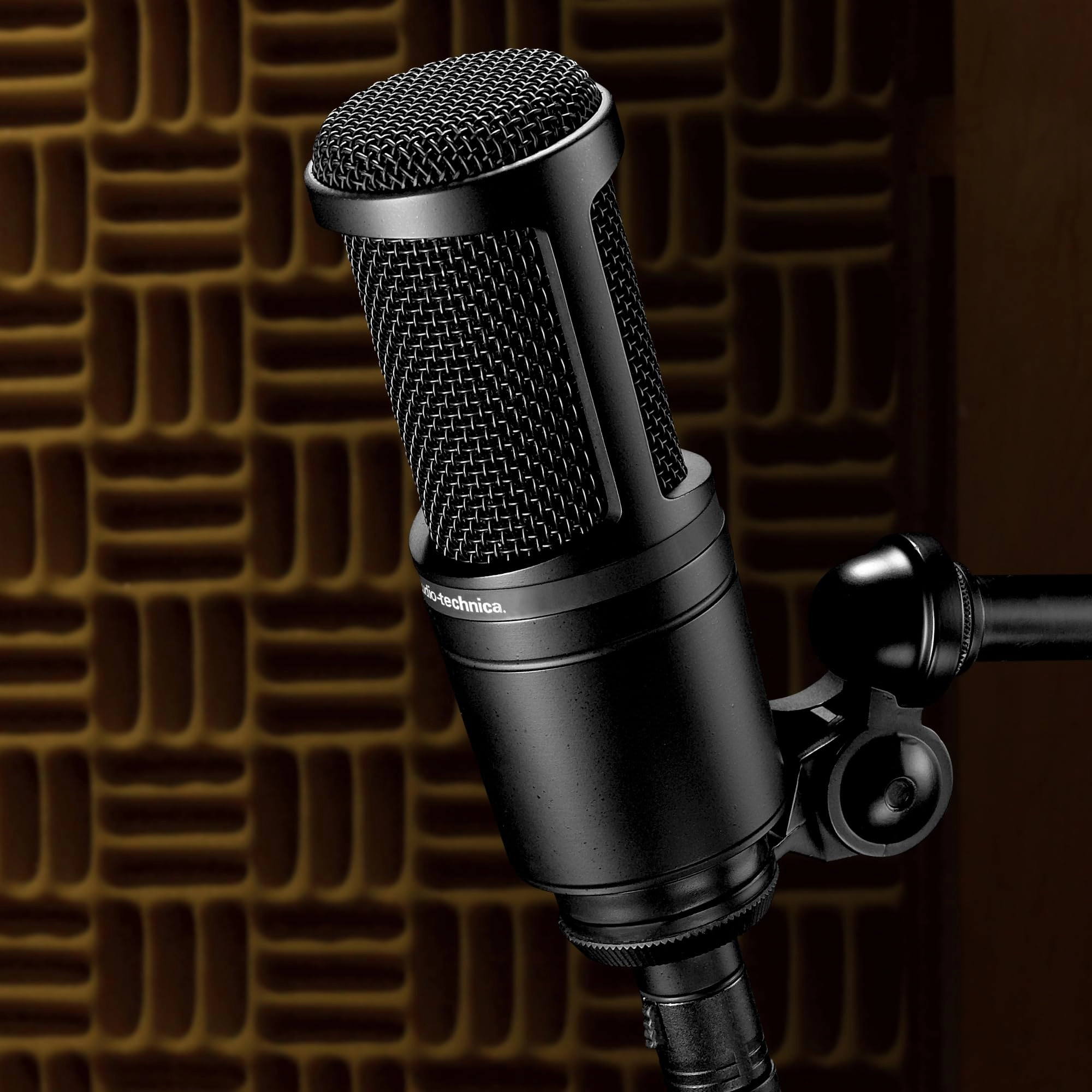 AT2020 XLR Microphone