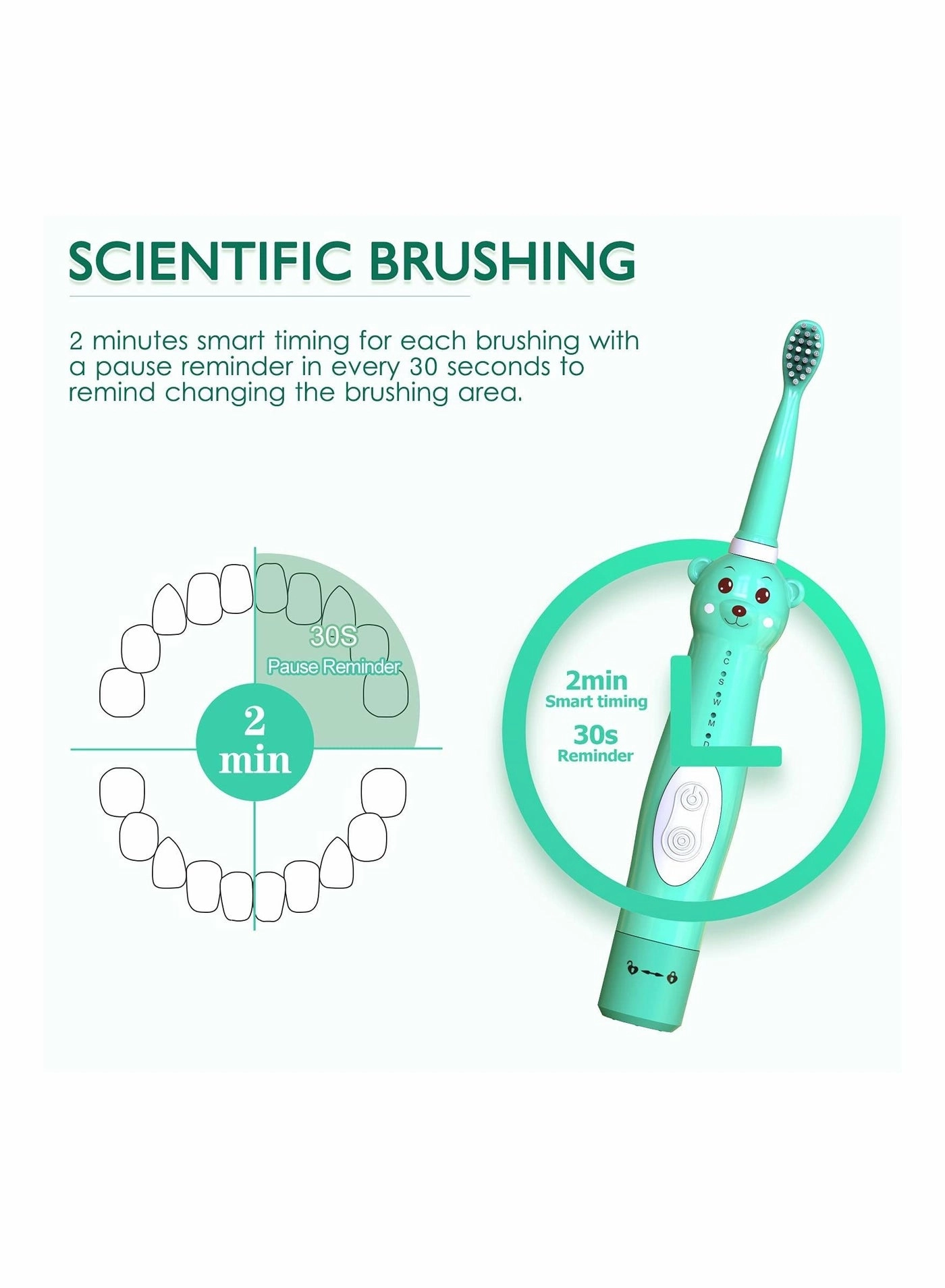 Kids Sonic Electric Toothbrush - Cute Bear 4 Brush Heads 2 Min Timer