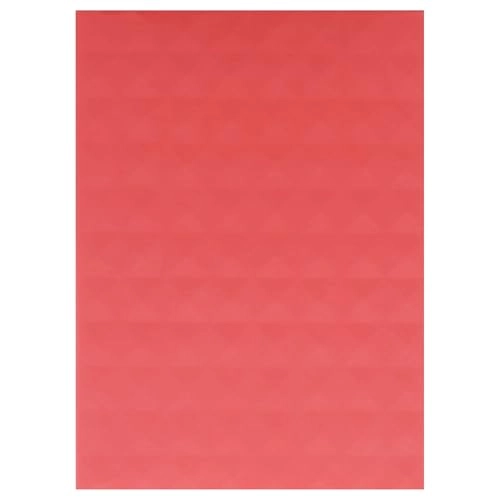 Donna Born In Roma Coral Fantasy - Eau de Parfum 100 ml