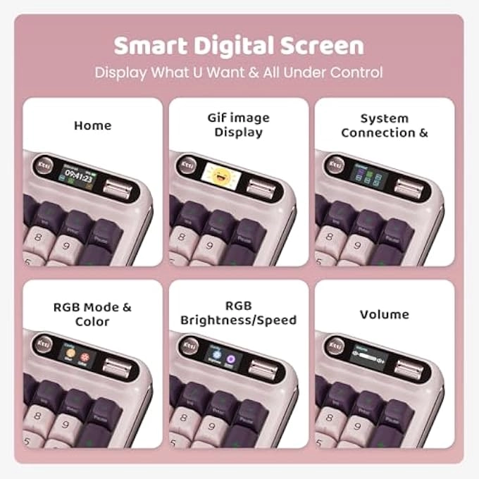 Z98 - Wired/Wireless