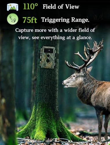 TrailCam-Basic - 16MP