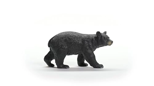 American Black Bear - 4+