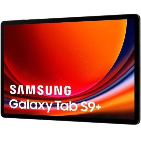 Galaxy Tab S9+ - 256GB 12.4"