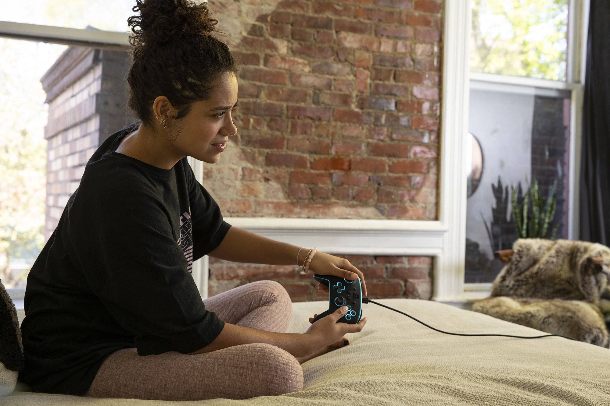 Nintendo Switch Enhanced Wireless Controller