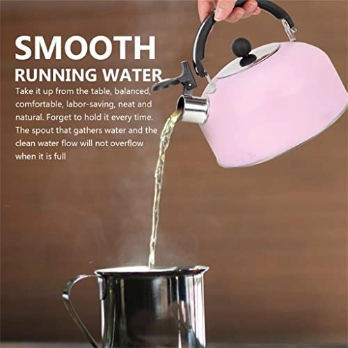 Gooseneck Kettle - Stainless Steel Whistling