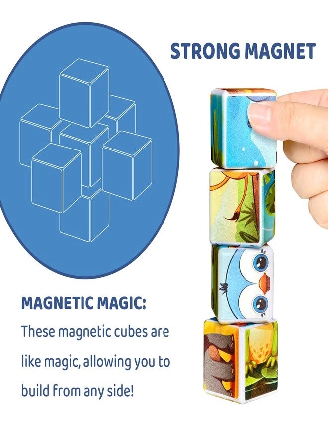 Magnetic Tiles
