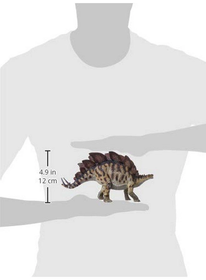 Stegosaurus