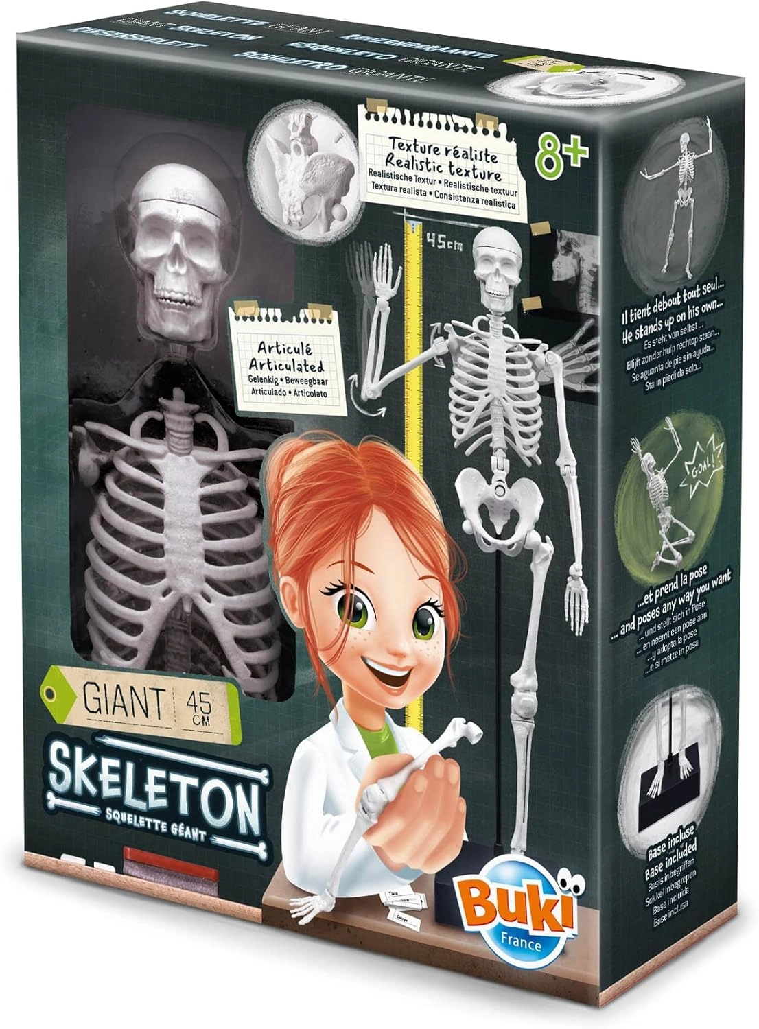 COLOR LAND CHILDRENS TOYS CENTER LLC Skeleton Science Kit - anatomy