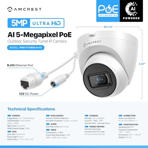IP5M-T1179EW-AI-V3