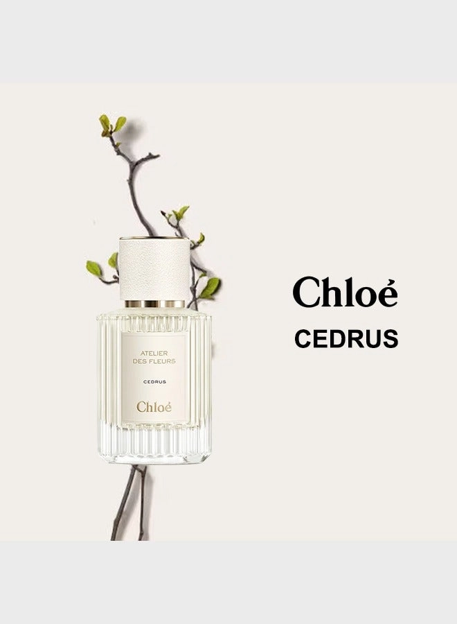 Cedrus Eau de Parfum 50 ml