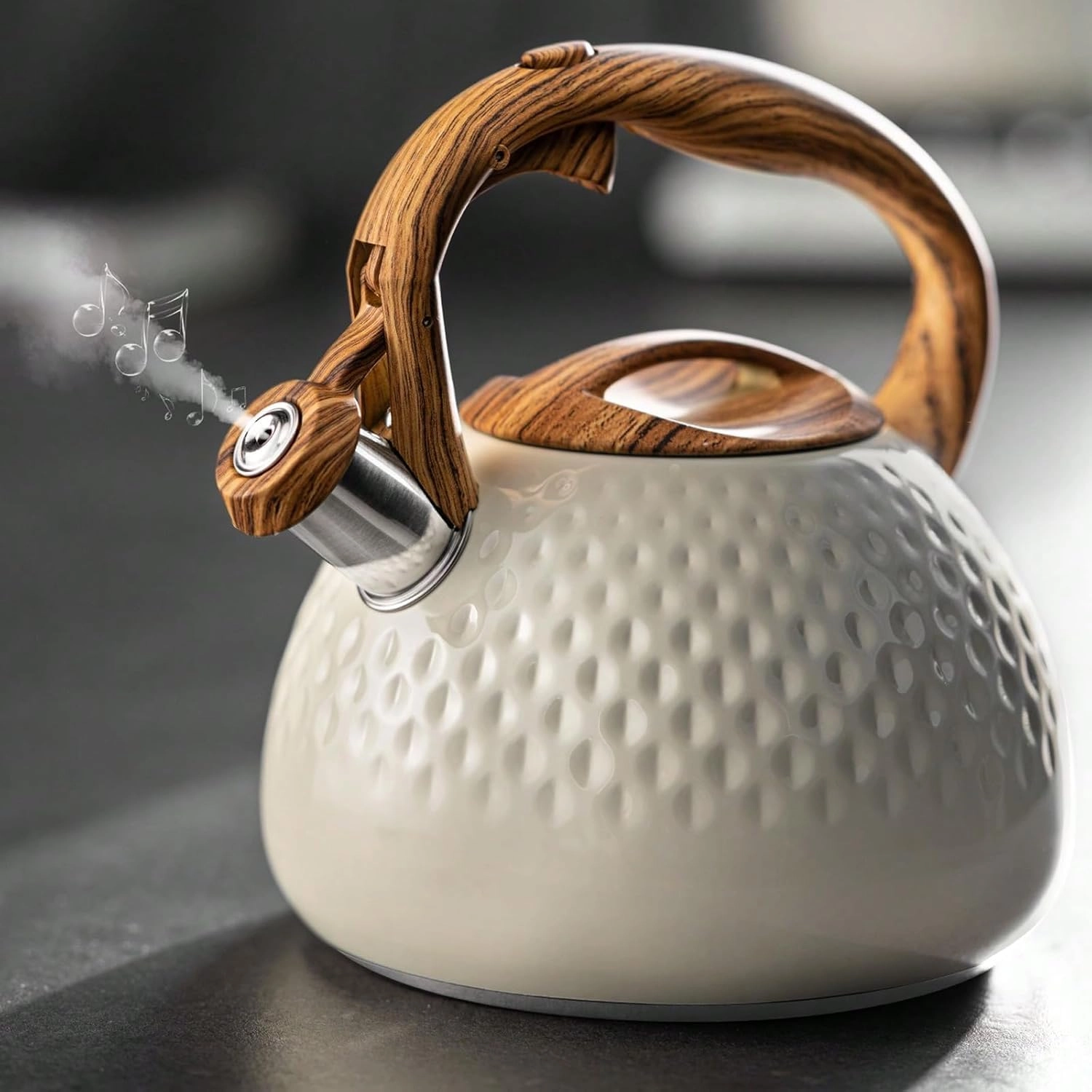 Stove Top Kettle - 2.5L