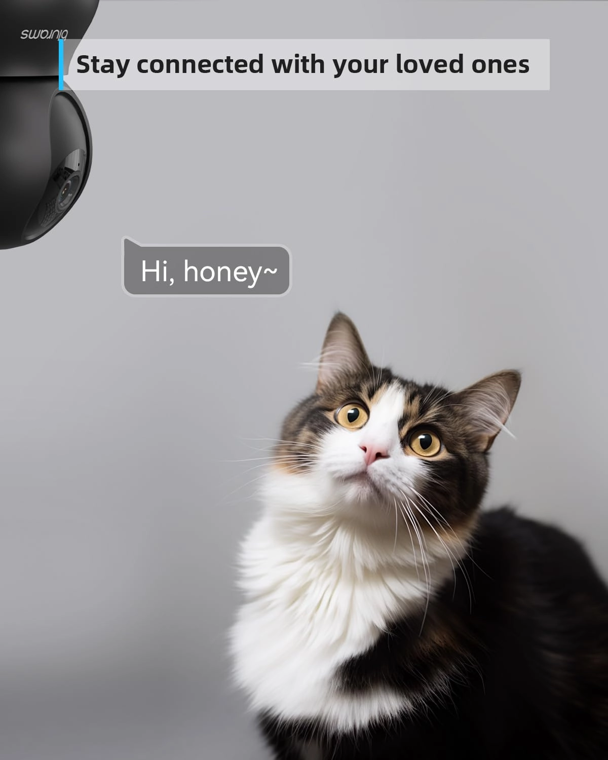 Security Camera 2K