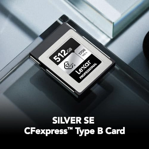 SILVER SE CFexpress Type B - 512GB