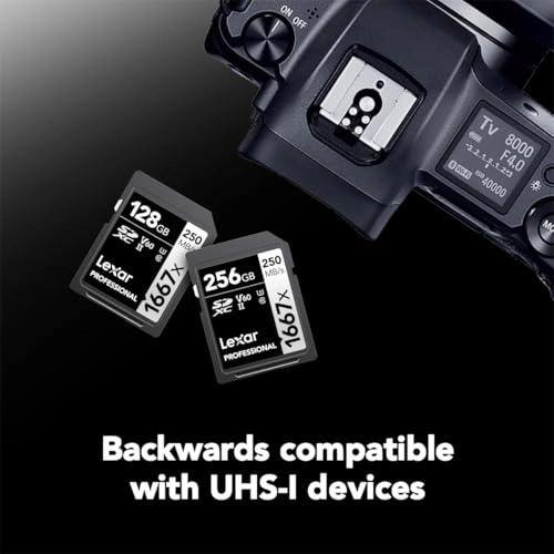 Professional 1066X - 512GB