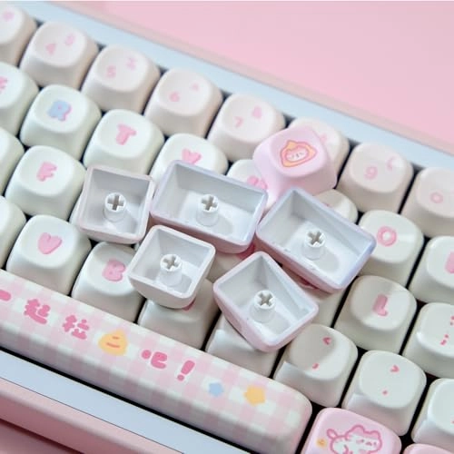 PBT Keycaps - MOA Profile USB