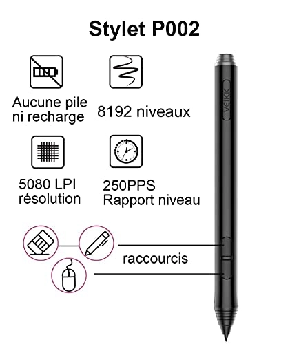 A15 - 10 x 6 inch 8192 Levels