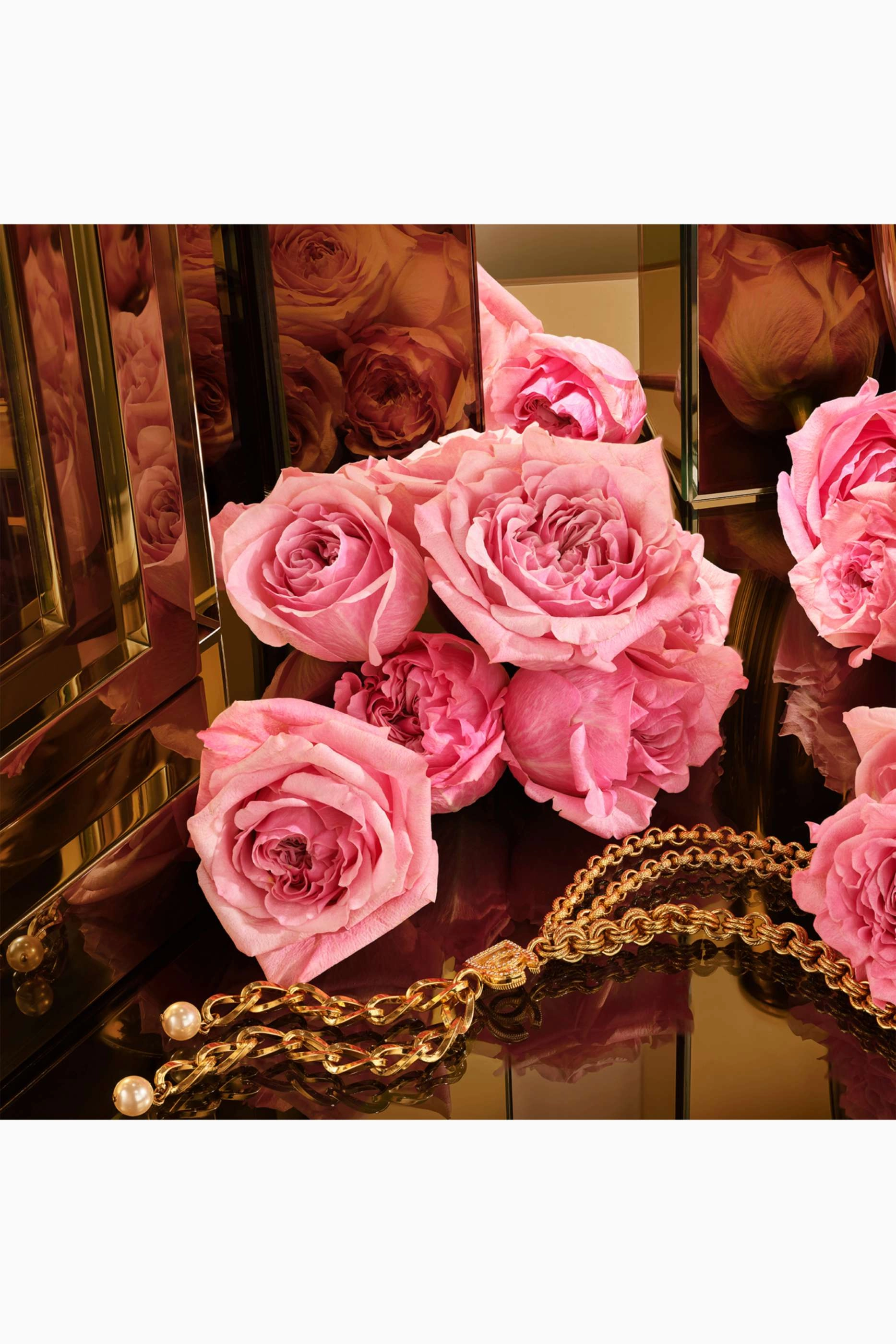 The One Gold Eau de Parfum 50 ml