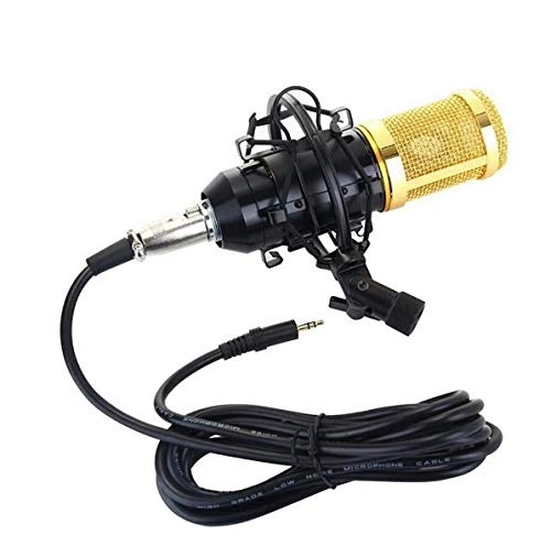 BM-800 + Shock Mount Wired Microphone
