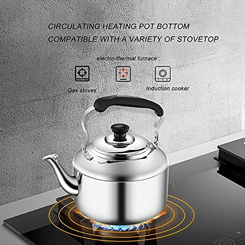 Stovetop Induction Whistling Kettle - 5L