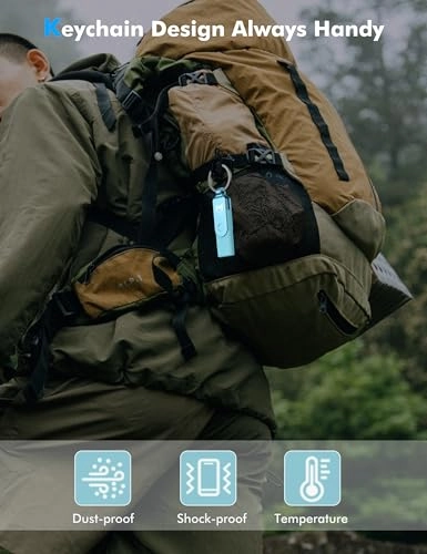 UD211C - USB3.1 C and A Dual 256GB