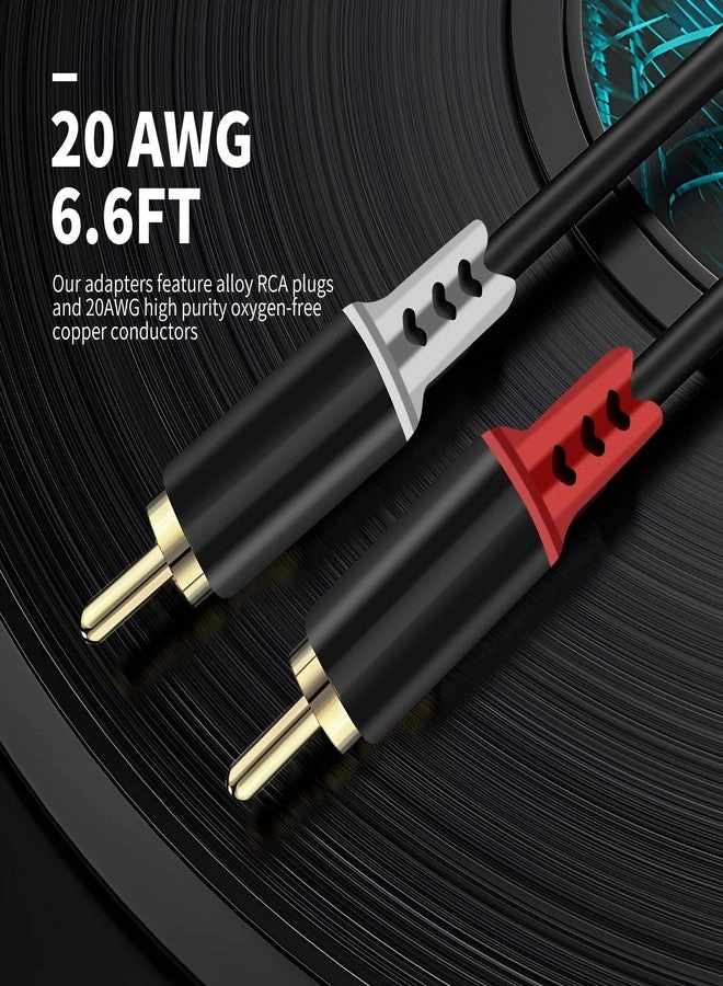 RCA to Speaker Wire Adapter - 6.6ft