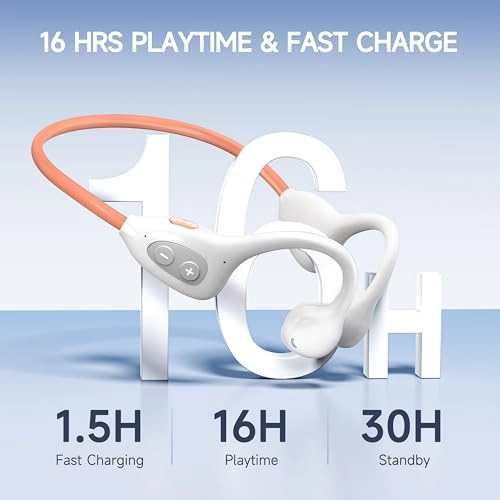 WS17 Wireless Headphone