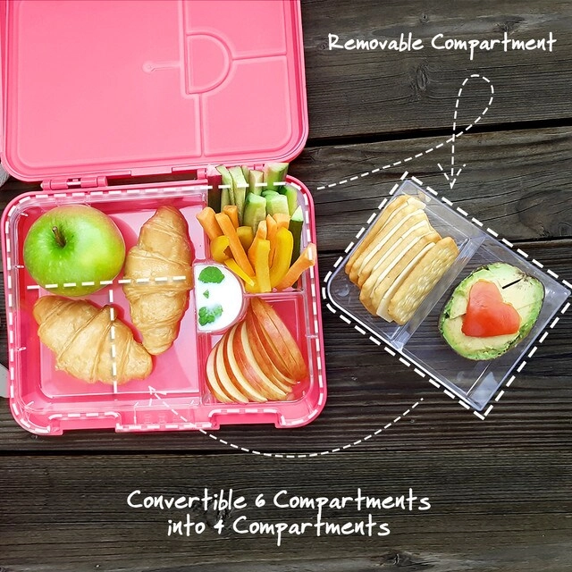 6 / 4 Compartment Bento Lunch Box - Tropical - Pink 350 ml