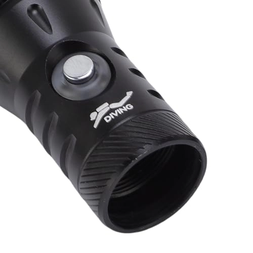 Dive Flashlight