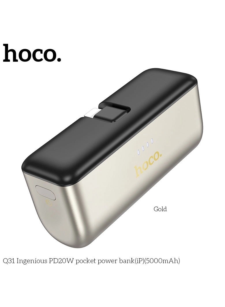 Q31 - 5000 Watt-hour 20W MagSafe