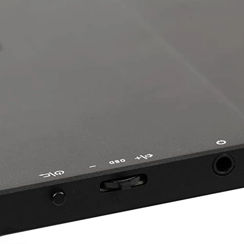 PM 1731M - 1920x1080P 17.3 Inch