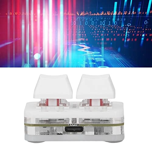 2 Key Keyboard - Wired