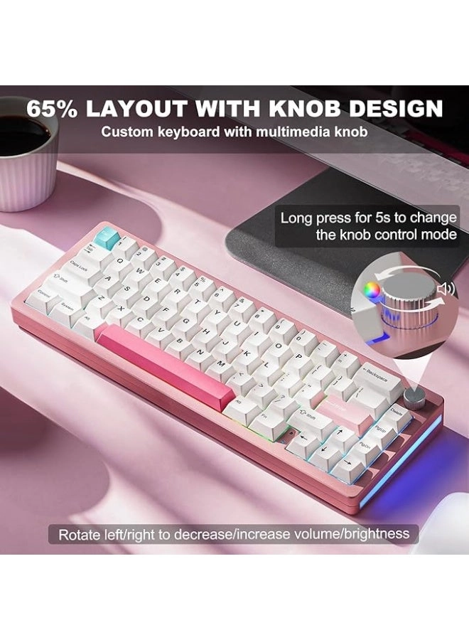 AL66 - 65% Wired/Wireless