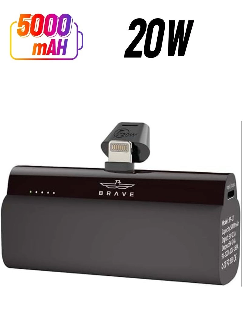 Brave Mini - 5000 Watt-hour 20 Watt
