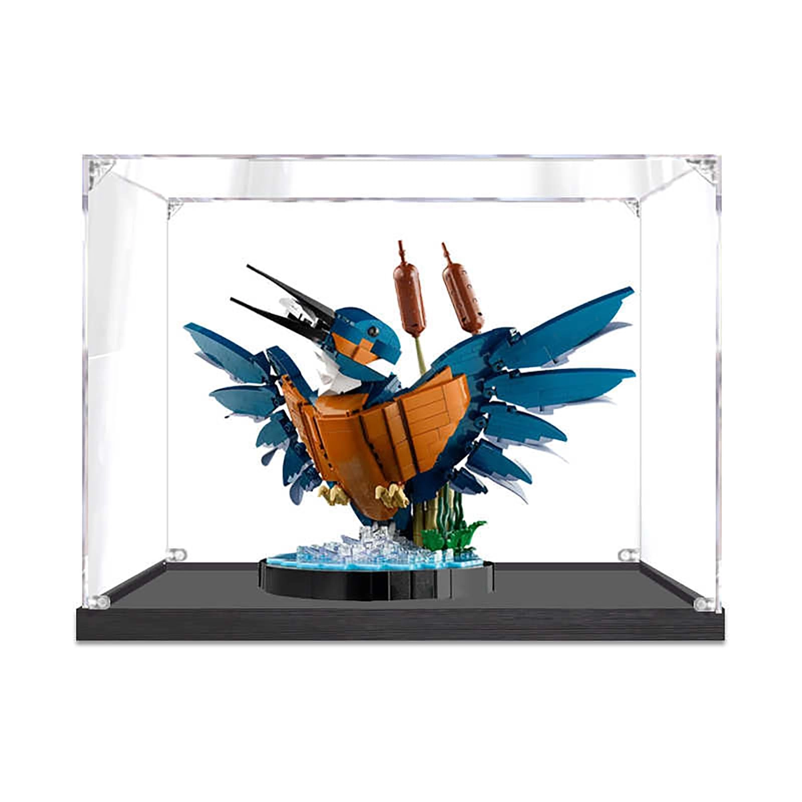 Acrylic Display Case - transparent acrylic