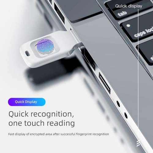 Fingerprint USB flash drive - USB 2.0 256 GB