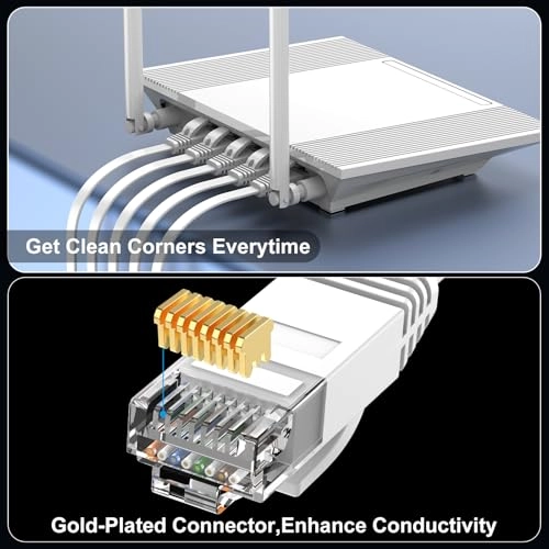 Cat 6 Ethernet Cable - 100 ft