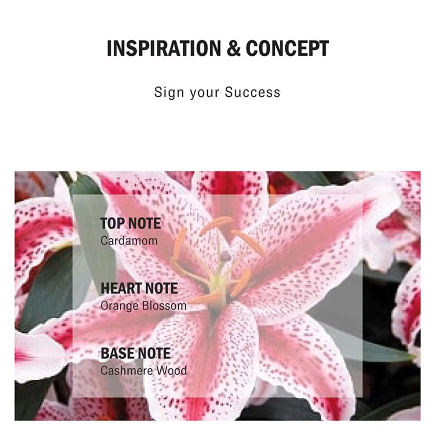 Sign Eau de Parfum 100 ml