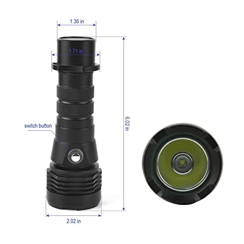 Dive Light