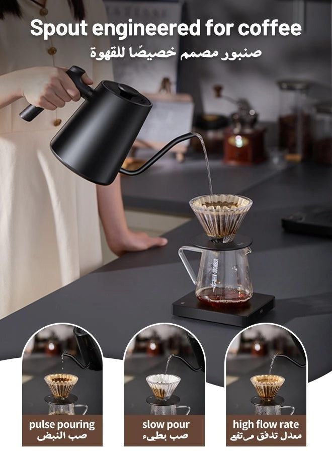 Temperature Control Gooseneck Electric Kettle