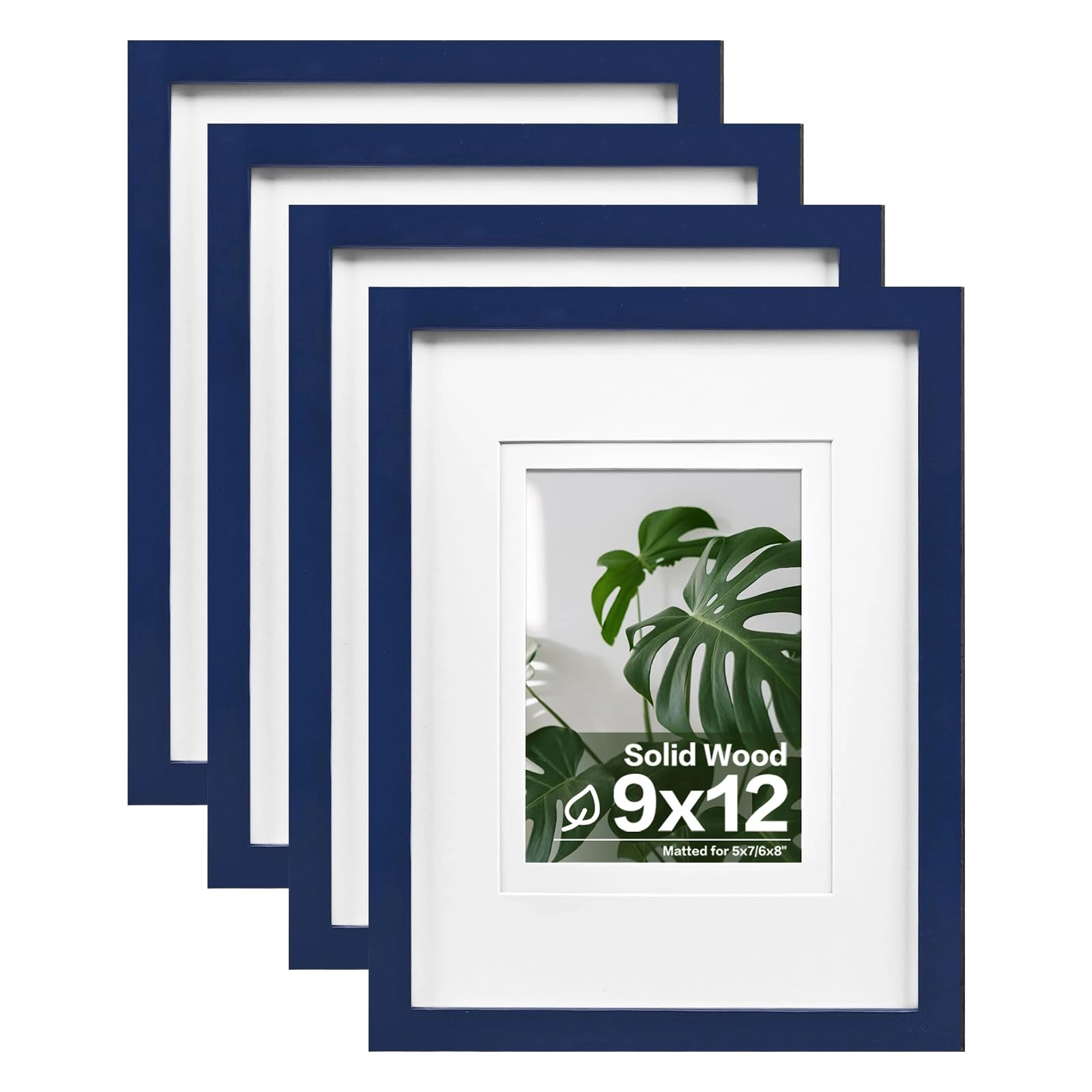 Picture Frames - 9x12