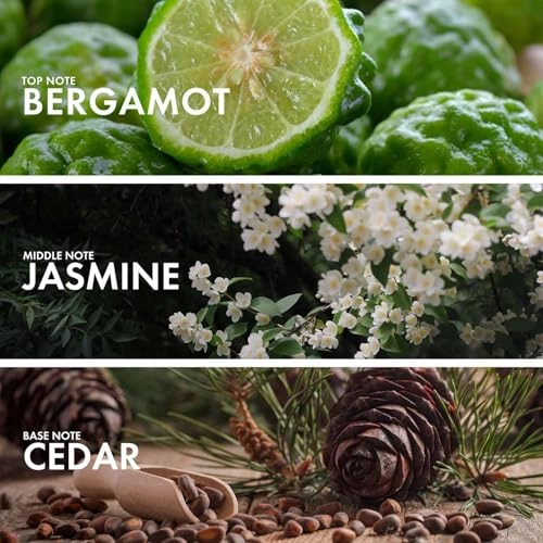 Woody Cinnamon Eau de Parfum 50ml