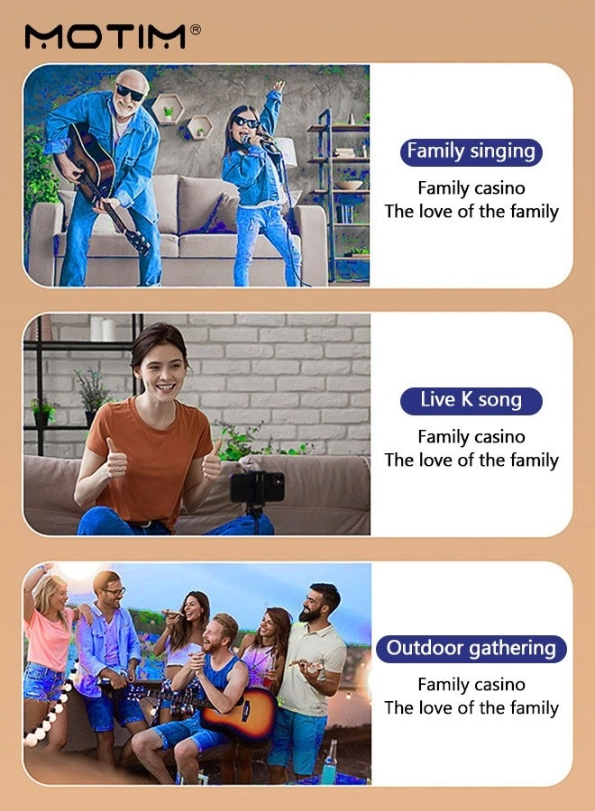 Portable Bluetooth Speaker Karaoke Machine - 2Pcs