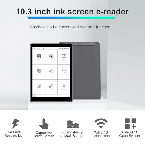 IP10 - 10.3-inch 32GB
