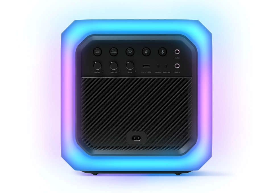 Party Box Speaker - 80W