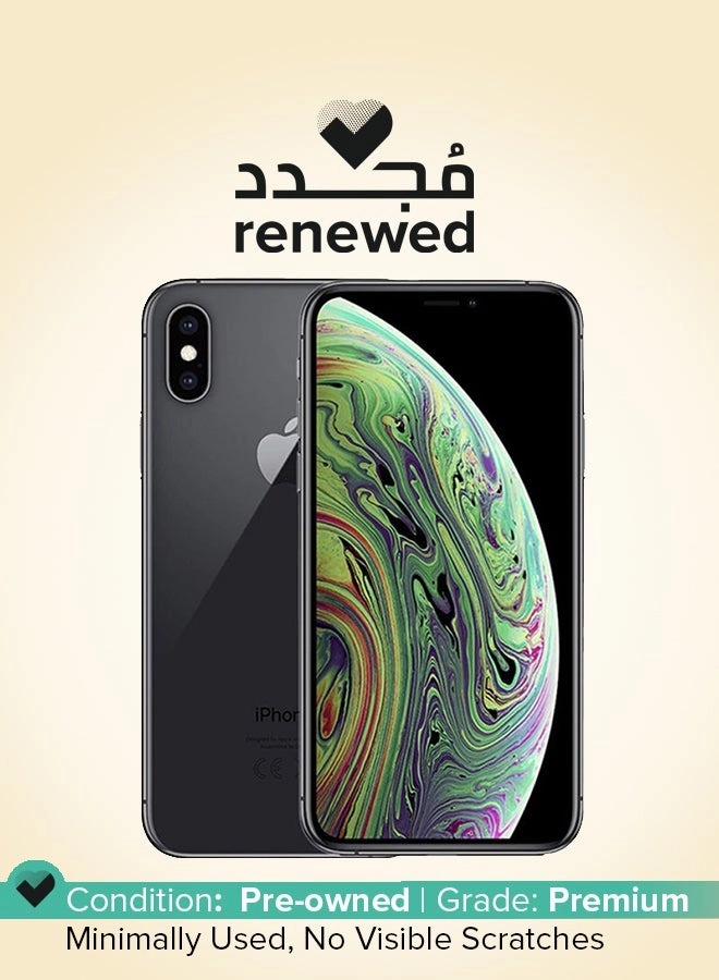 (Renewed) iPhone XS - 256GB