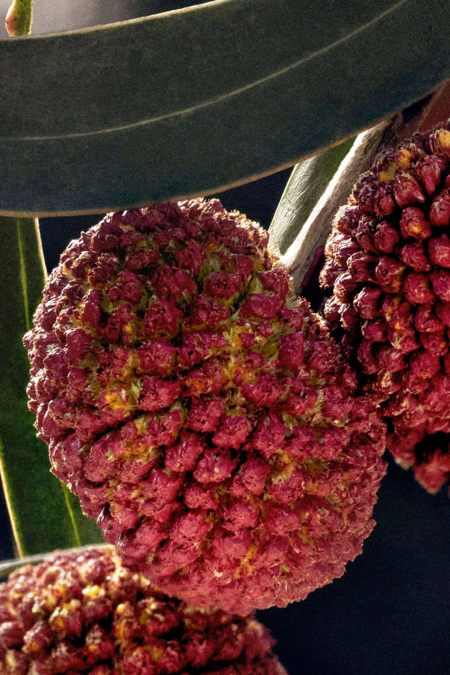 Chloe Eau de Parfum 75ml