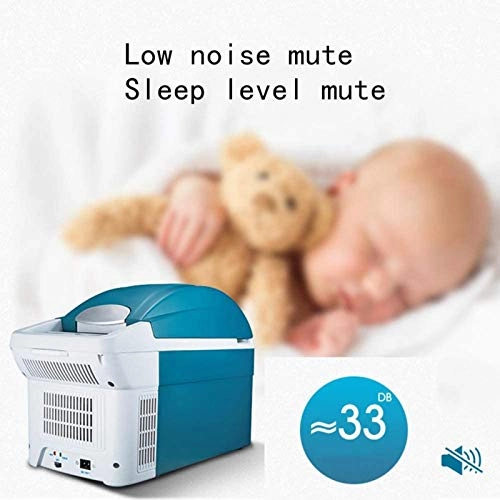 Portable refrigerator mini - two-purpose 12V 24V 220V